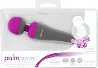 Vista previa: Masajeador PalmPower