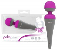 Vista previa: Masajeador PalmPower