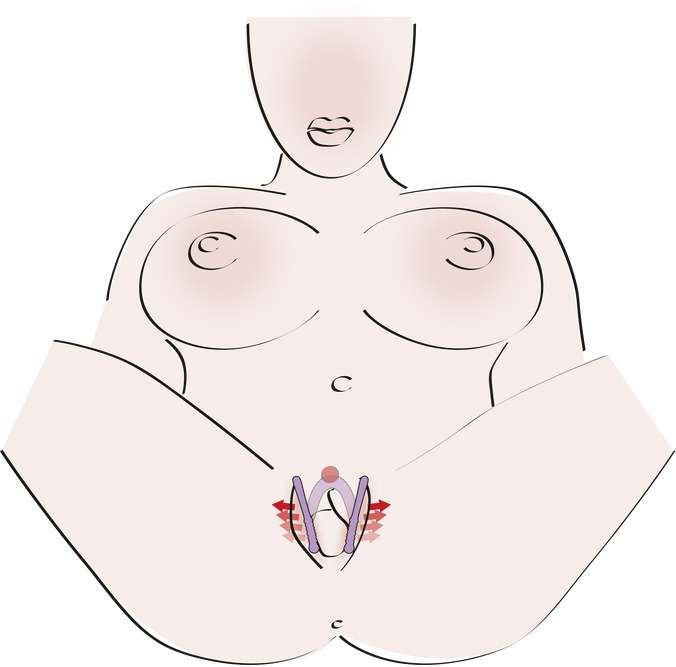 dibujo de la aplicación del esparcidor de labios