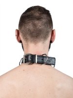 Vista previa: Halsfessel 4 D-Rings Black